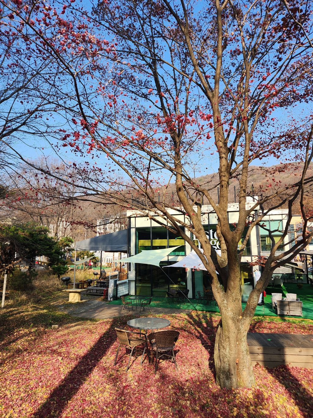 게시글 대표 이미지