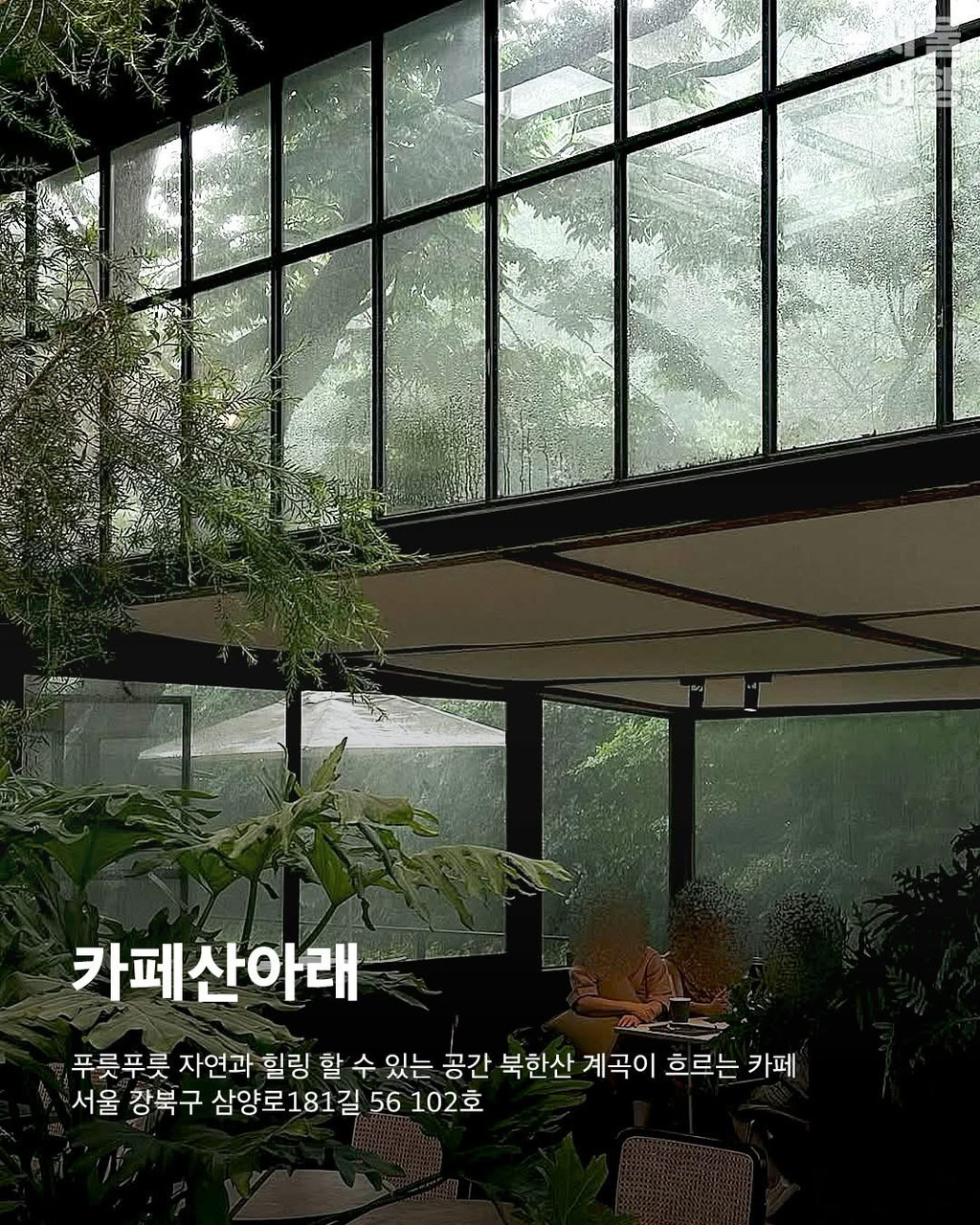 게시글 대표 이미지