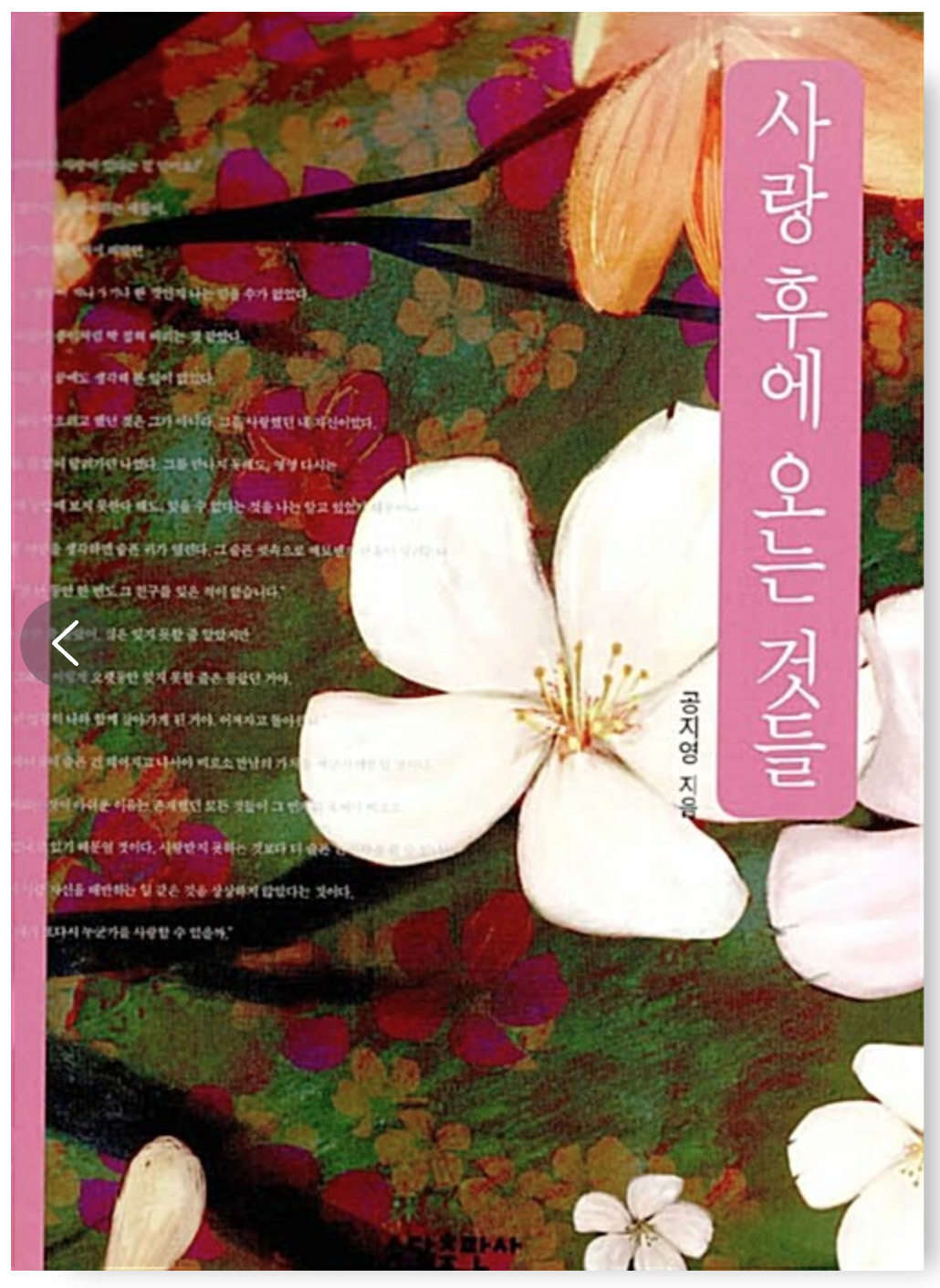 대표이미지