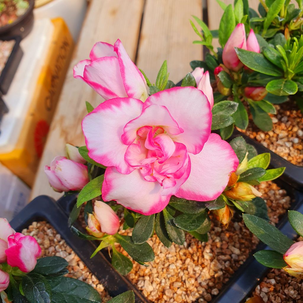 게시글 대표 이미지