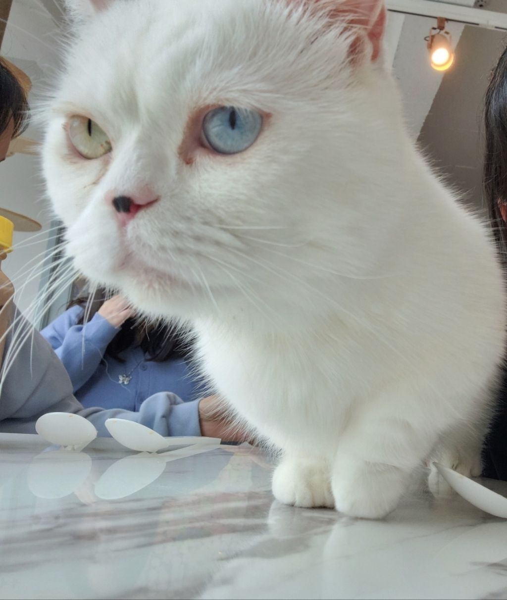 게시글 대표 이미지