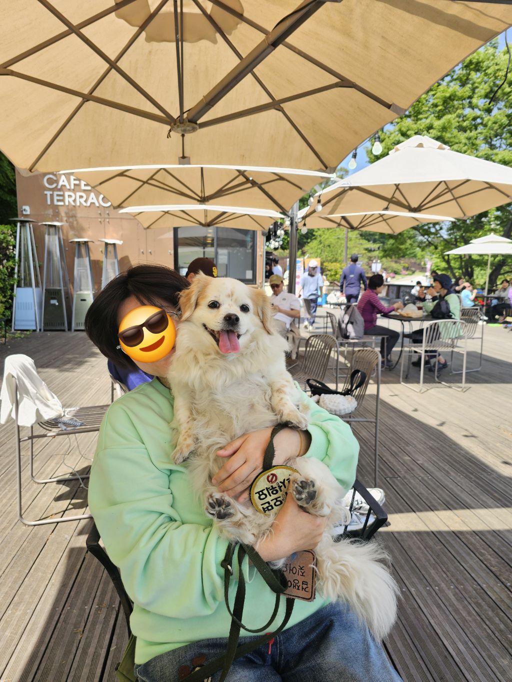 대표이미지