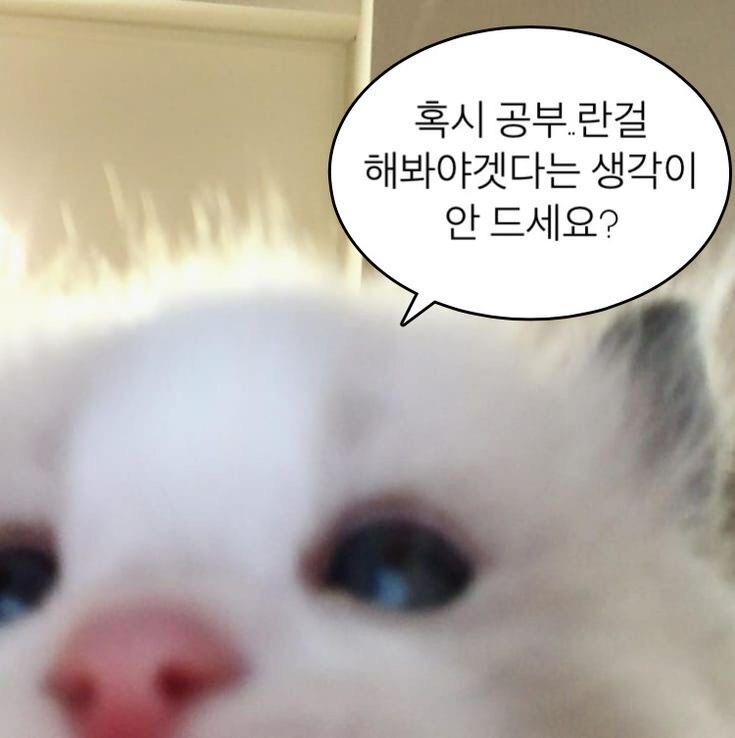 게시글 대표 이미지