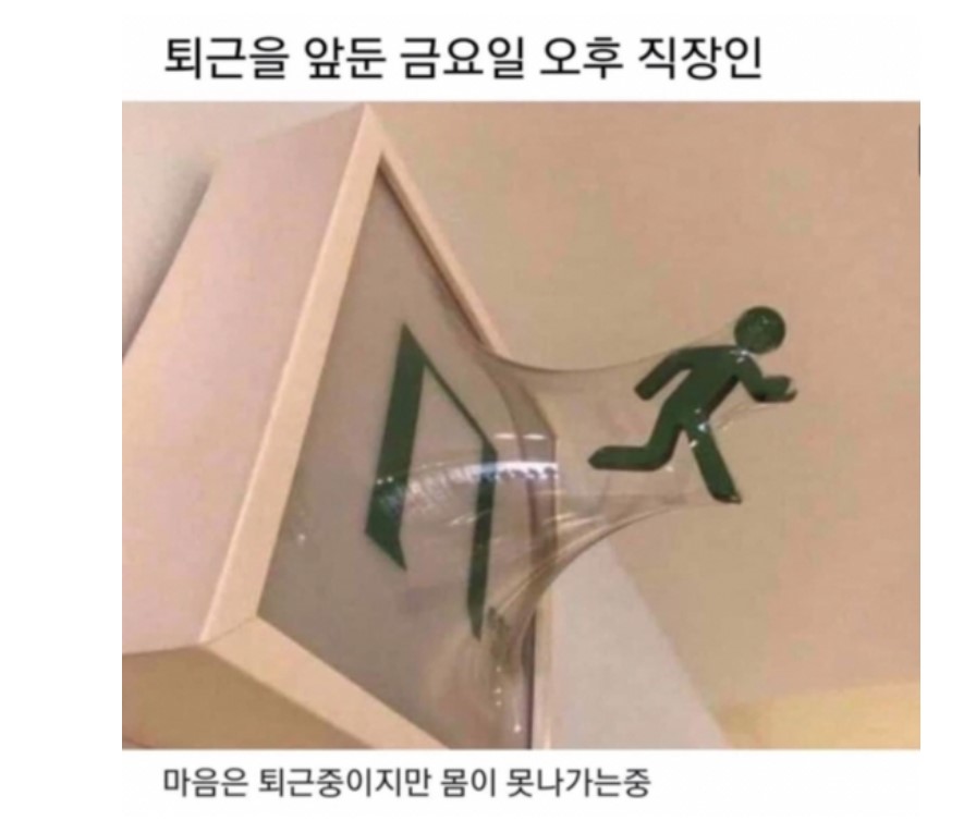 게시글 대표 이미지