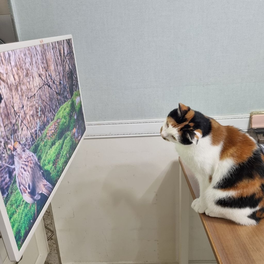 게시글 대표 이미지