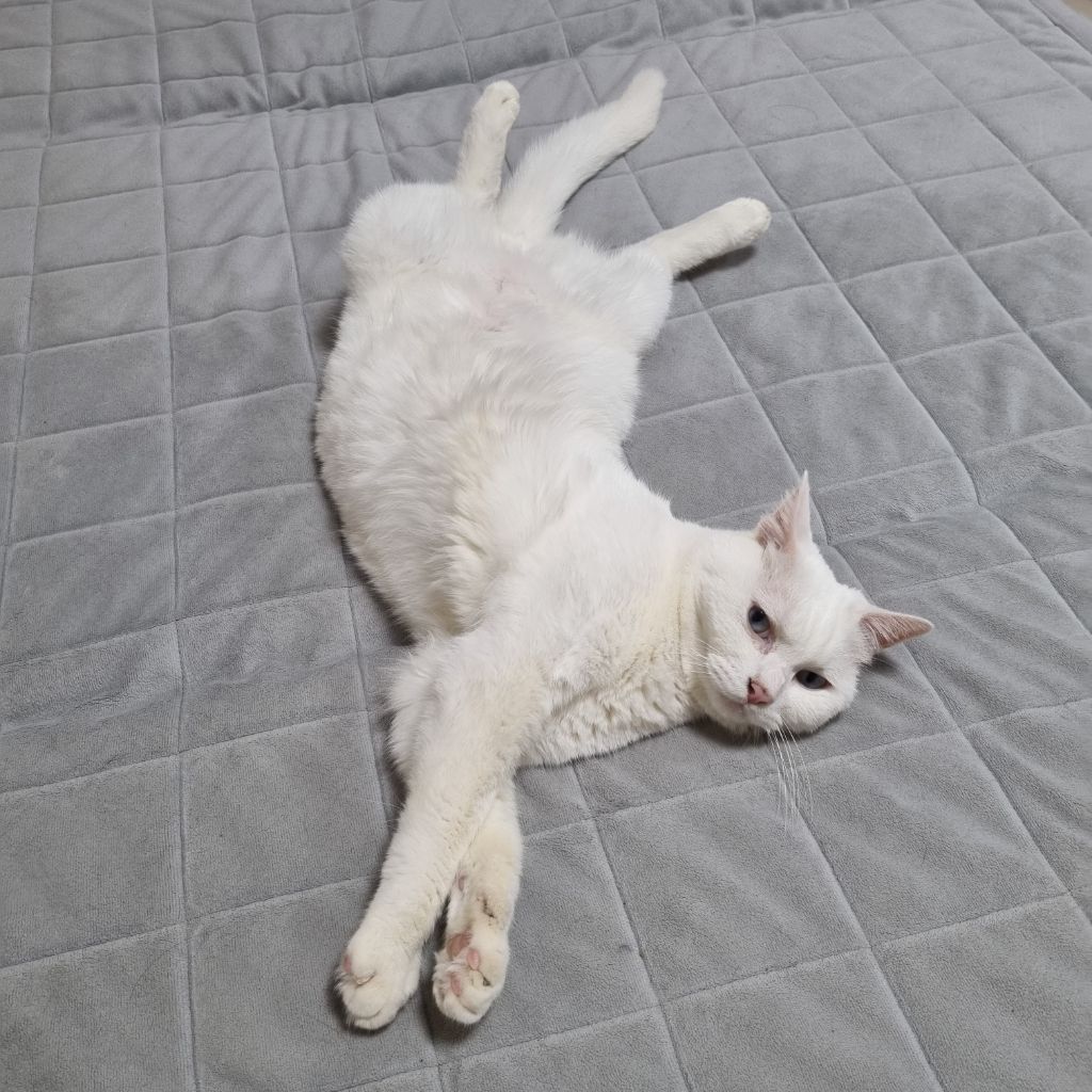 게시글 대표 이미지