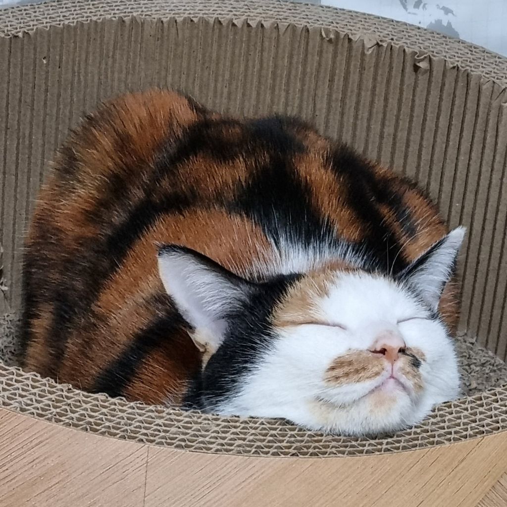 게시글 대표 이미지