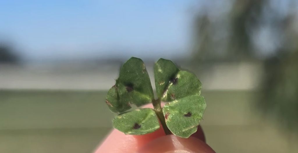 게시글 대표 이미지