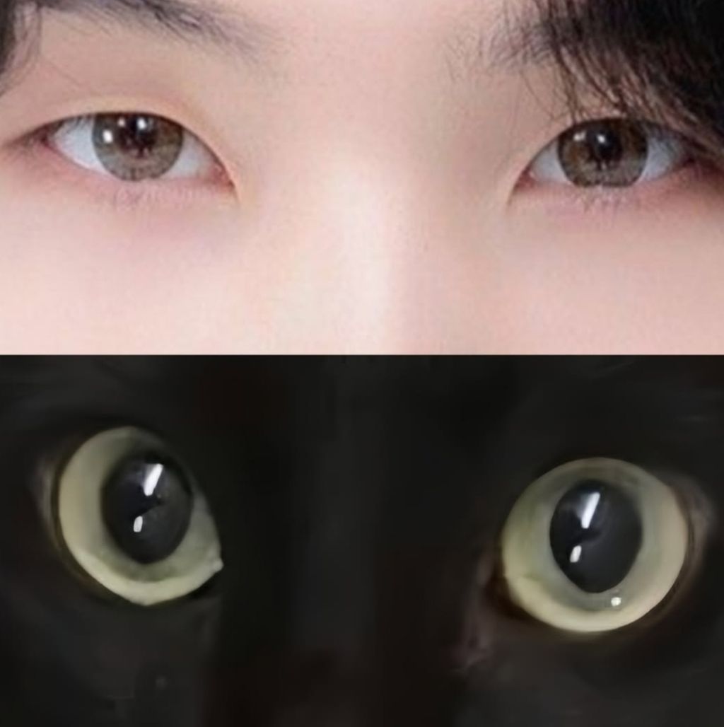 게시글 대표 이미지