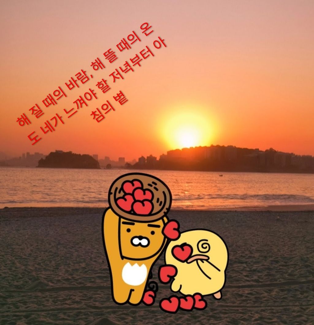 게시글 대표 이미지