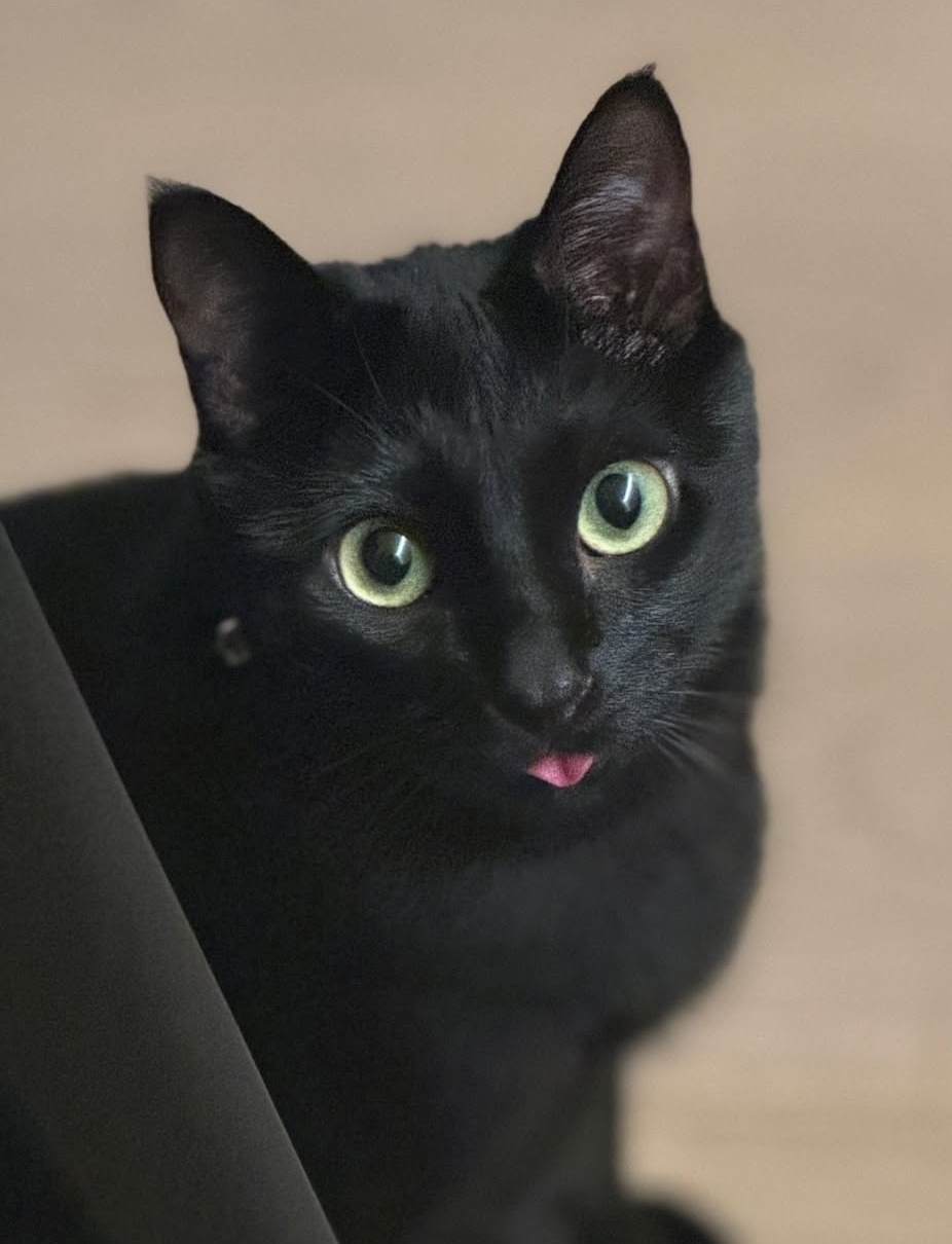 게시글 대표 이미지