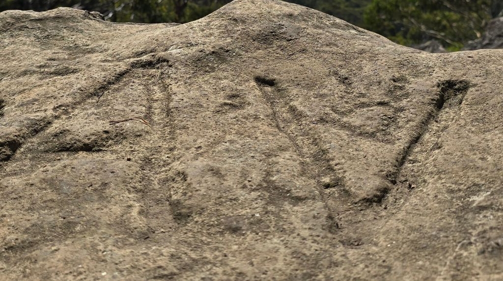 게시글 대표 이미지