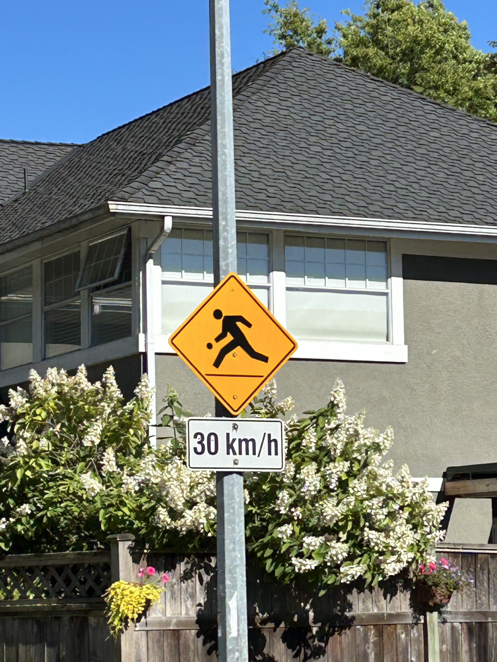 게시글 대표 이미지