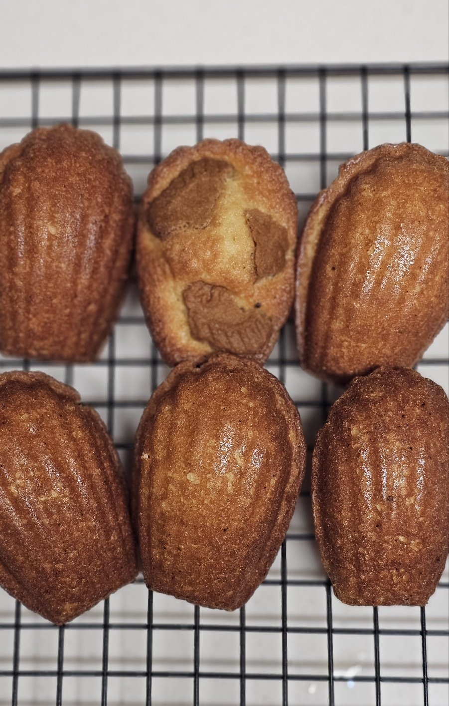 게시글 대표 이미지