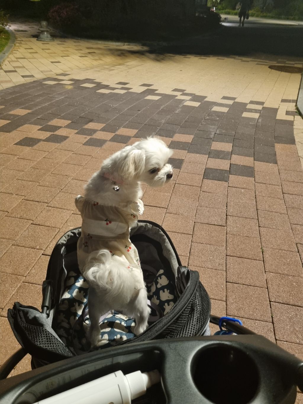 게시글 대표 이미지