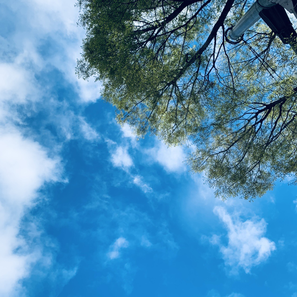 게시글 대표 이미지