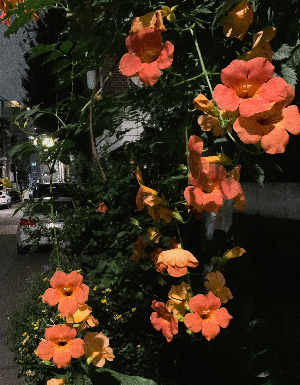 게시글 대표 이미지