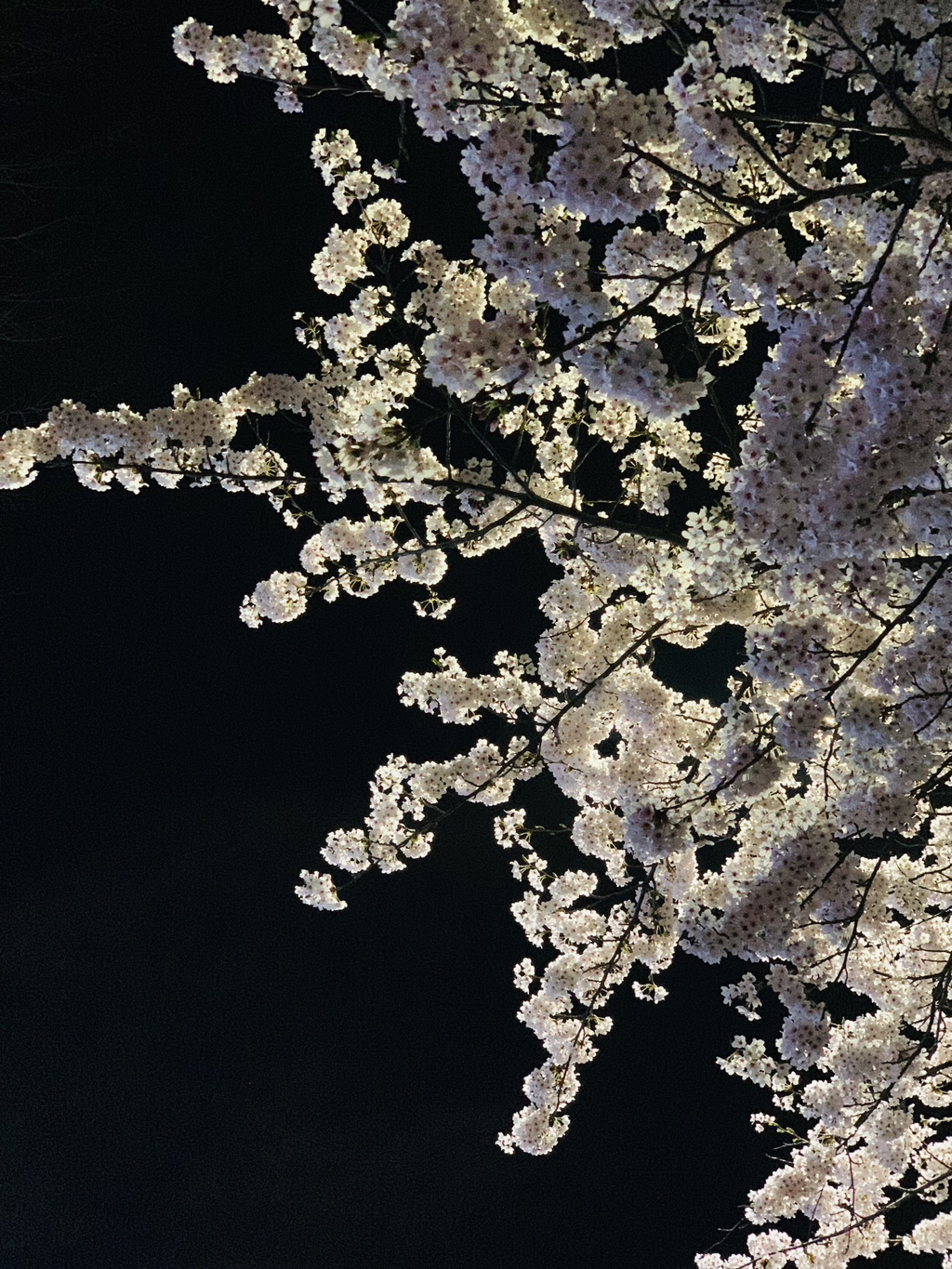 게시글 대표 이미지