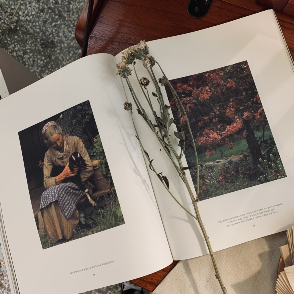 게시글 대표 이미지