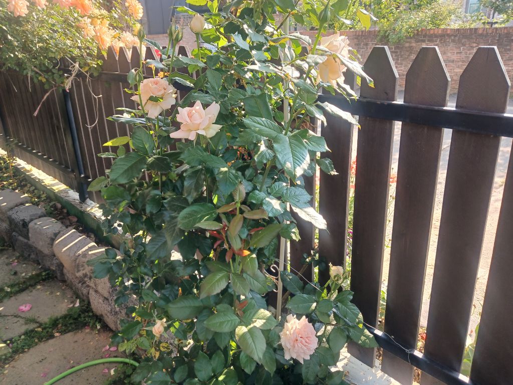 게시글 대표 이미지