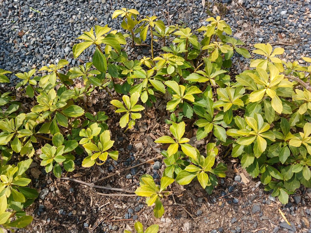 게시글 대표 이미지