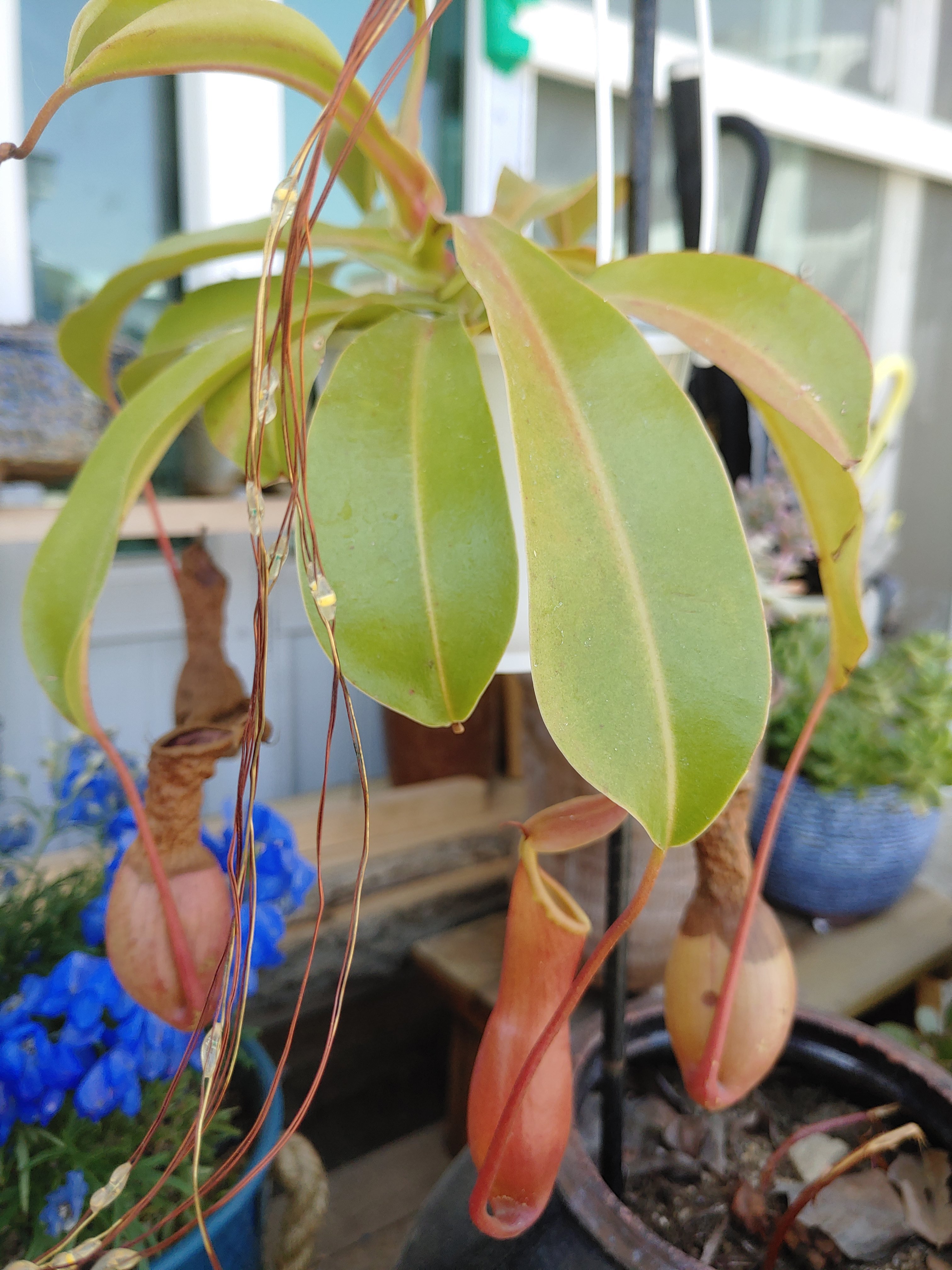 게시글 대표 이미지