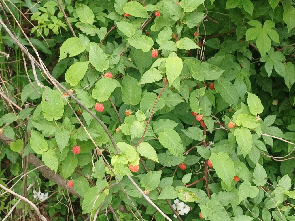 게시글 대표 이미지