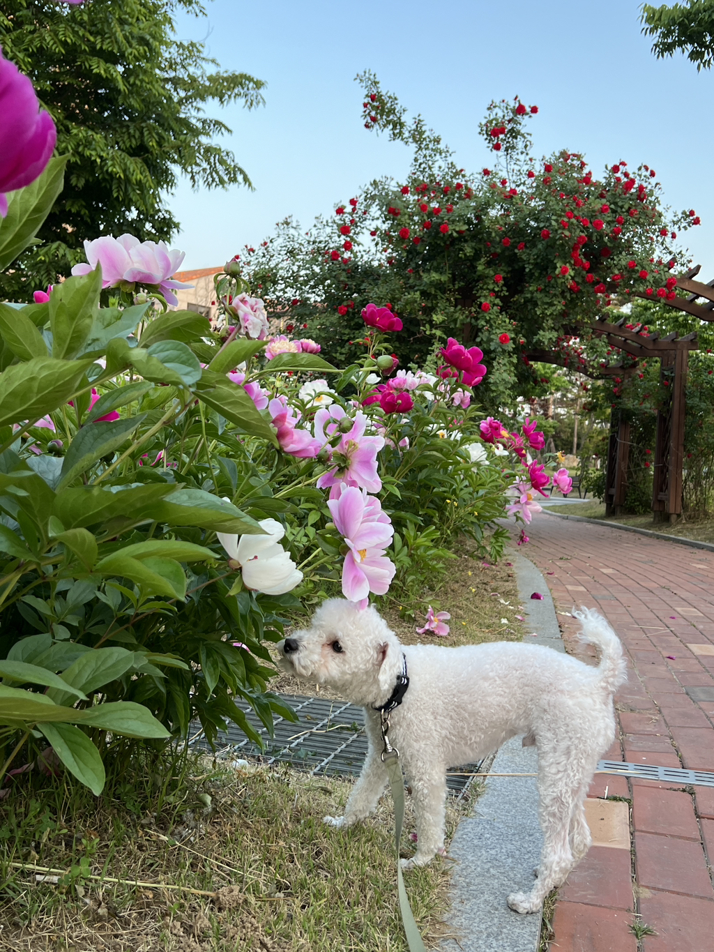 게시글 대표 이미지