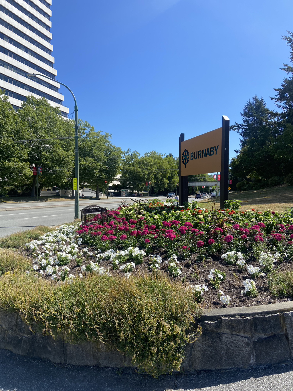 게시글 대표 이미지