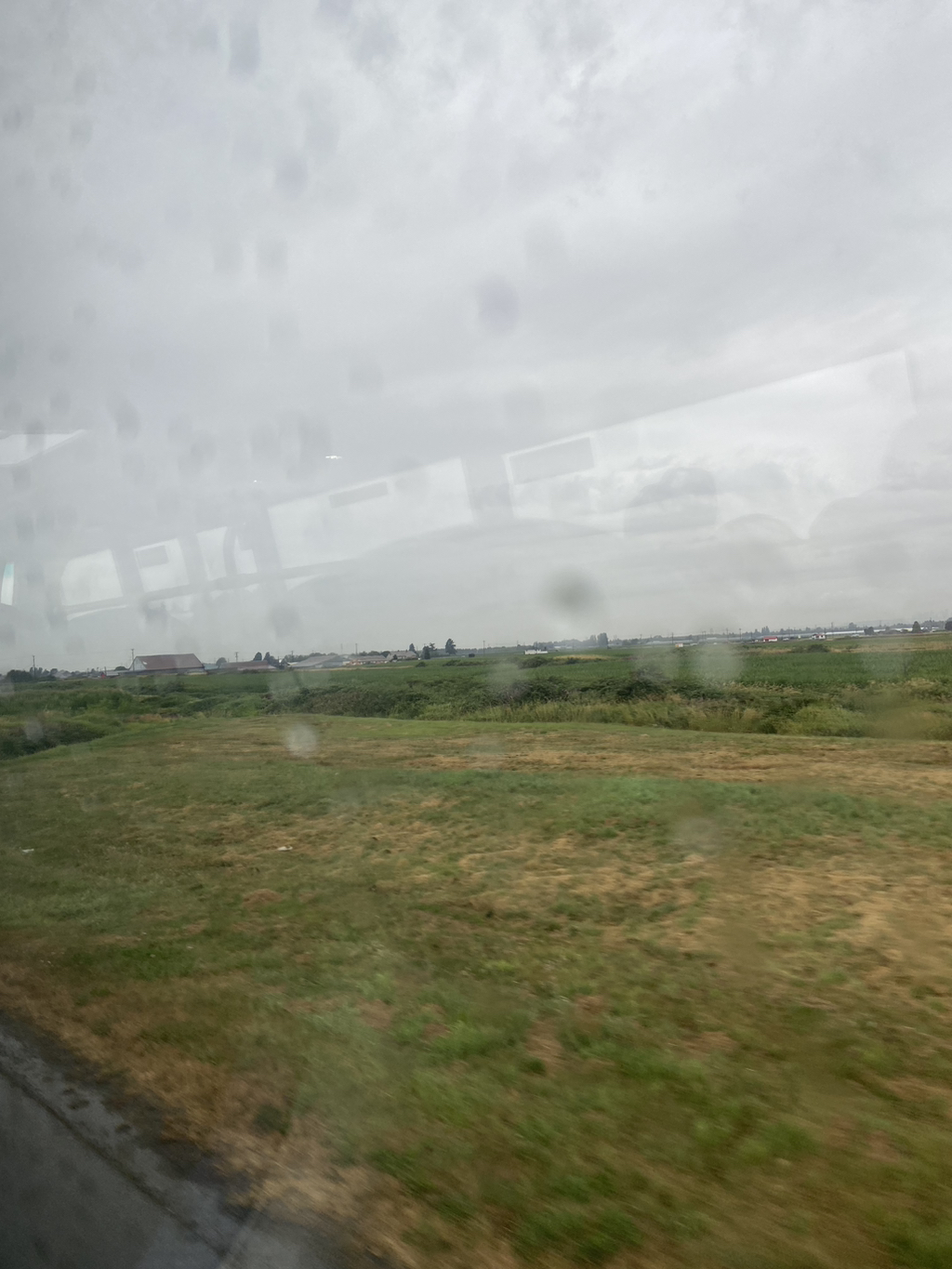 게시글 대표 이미지