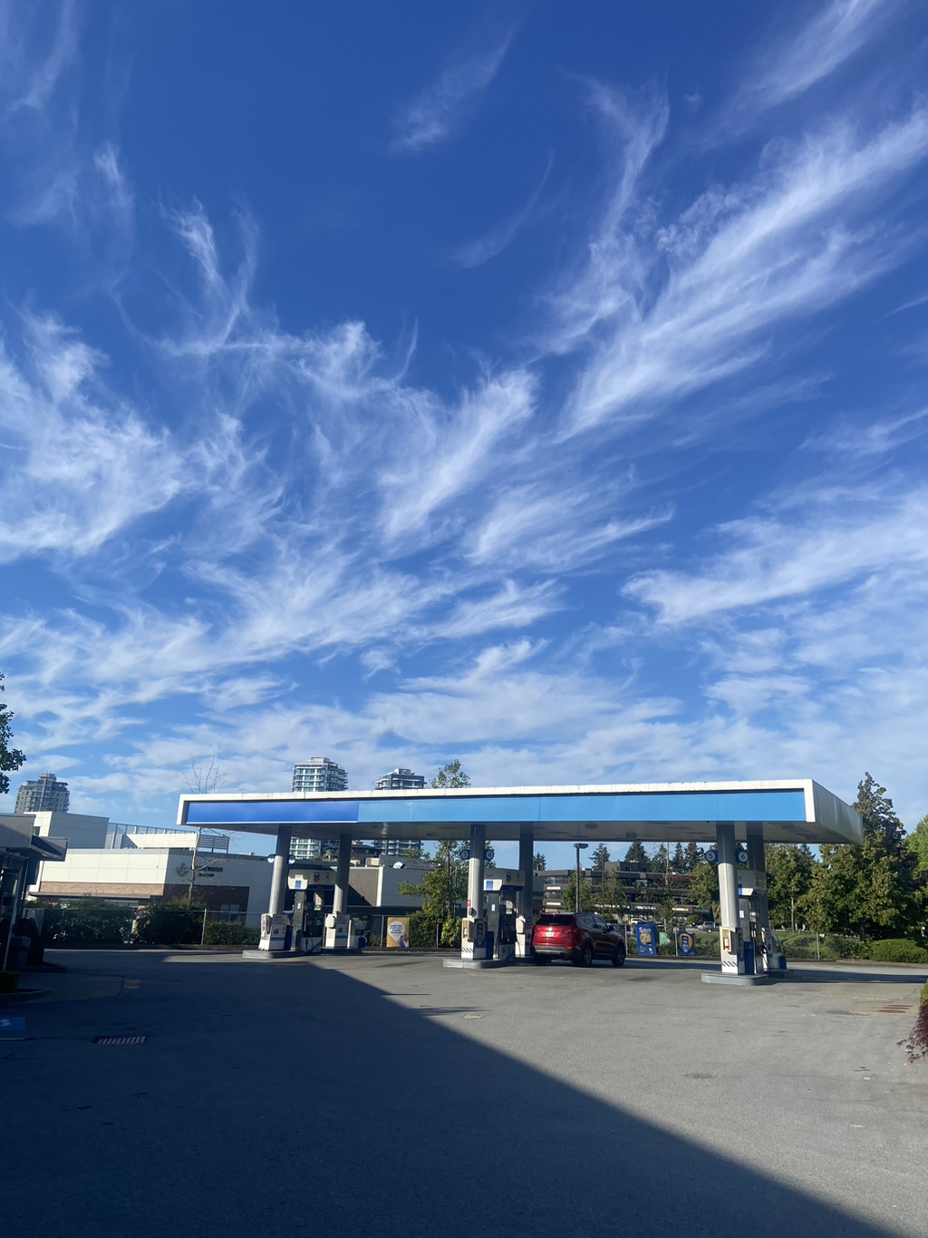 게시글 대표 이미지