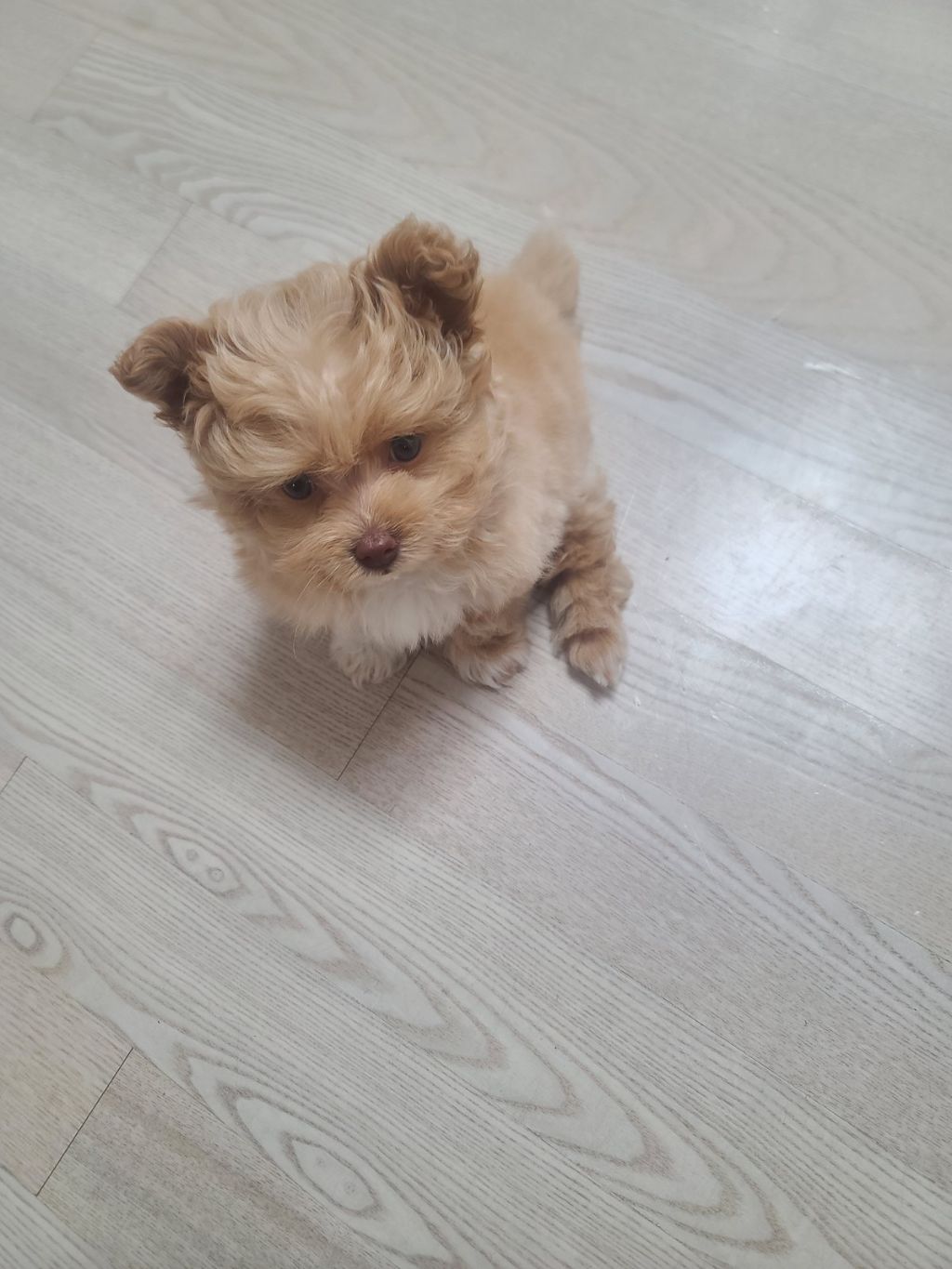 게시글 대표 이미지