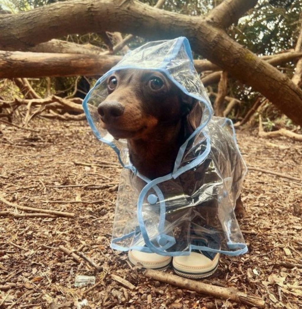 게시글 대표 이미지