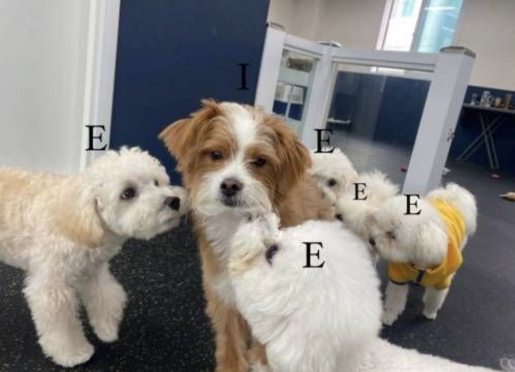 게시글 대표 이미지