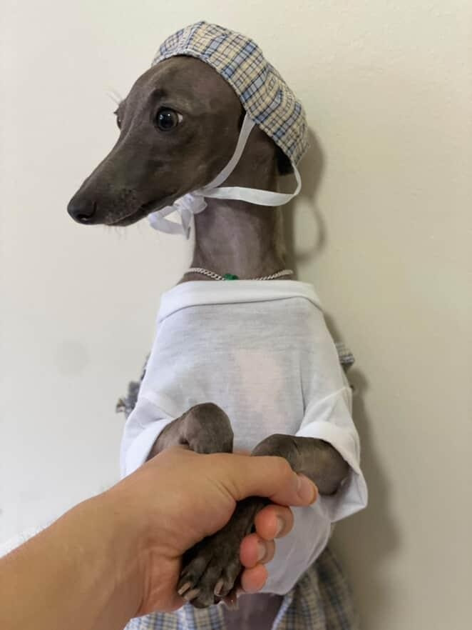 게시글 대표 이미지