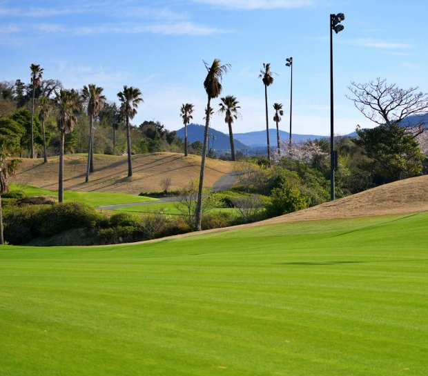 게시글 대표 이미지
