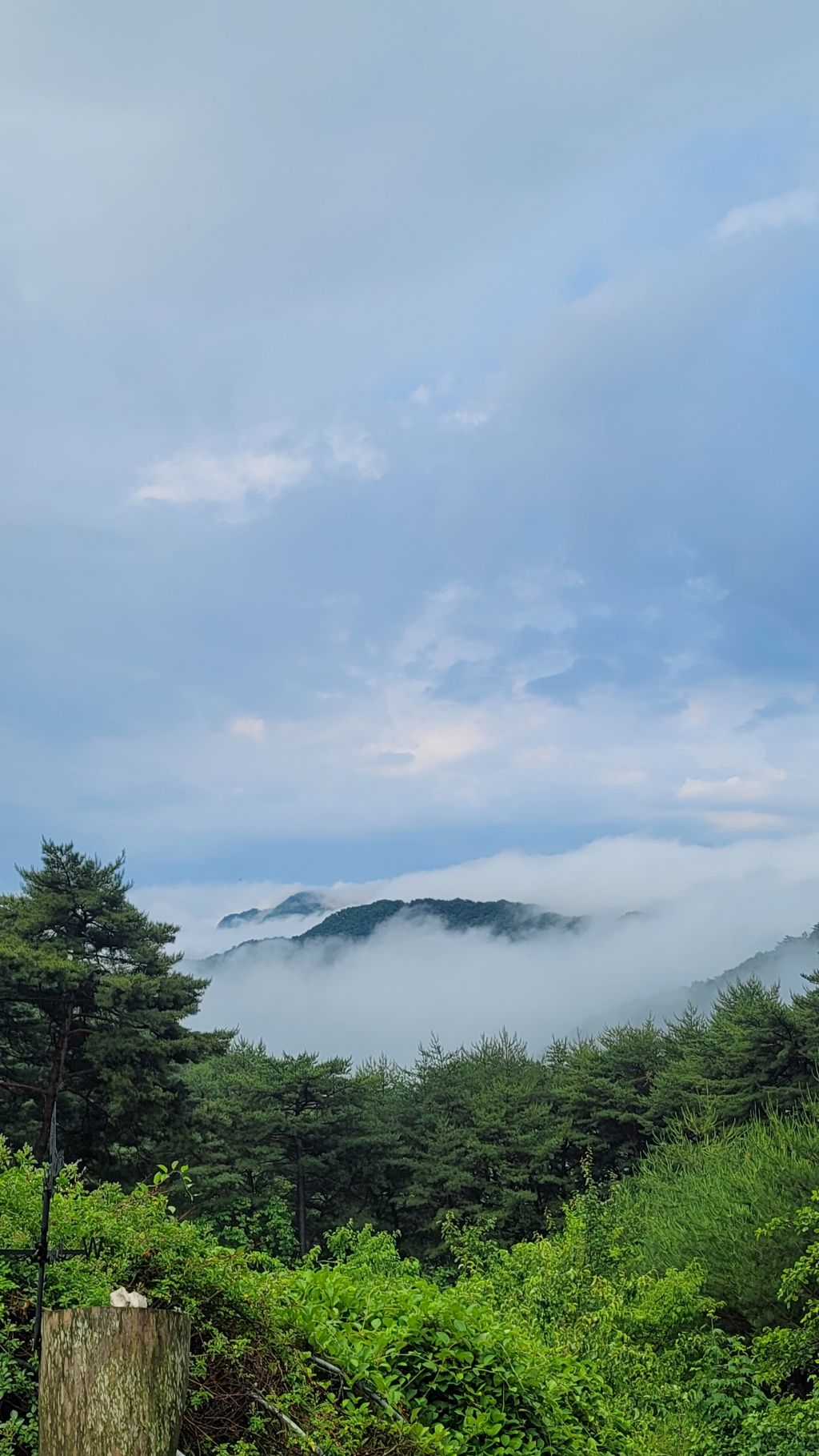 게시글 대표 이미지