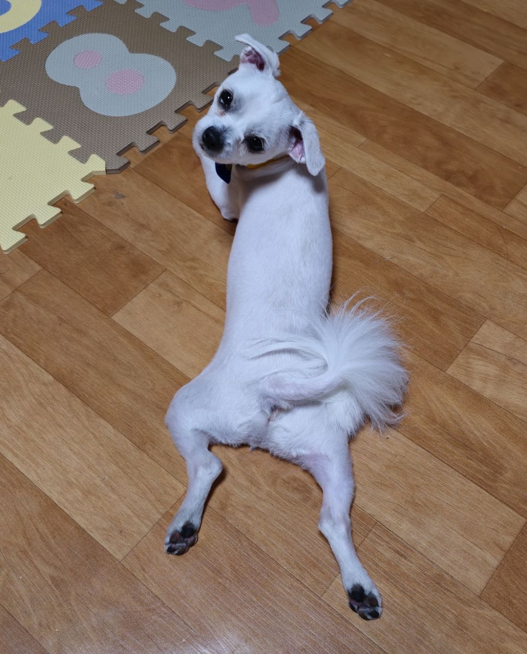 대표이미지
