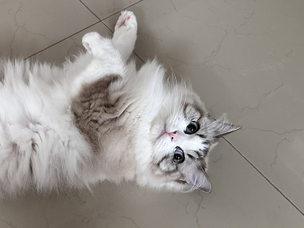 대표이미지