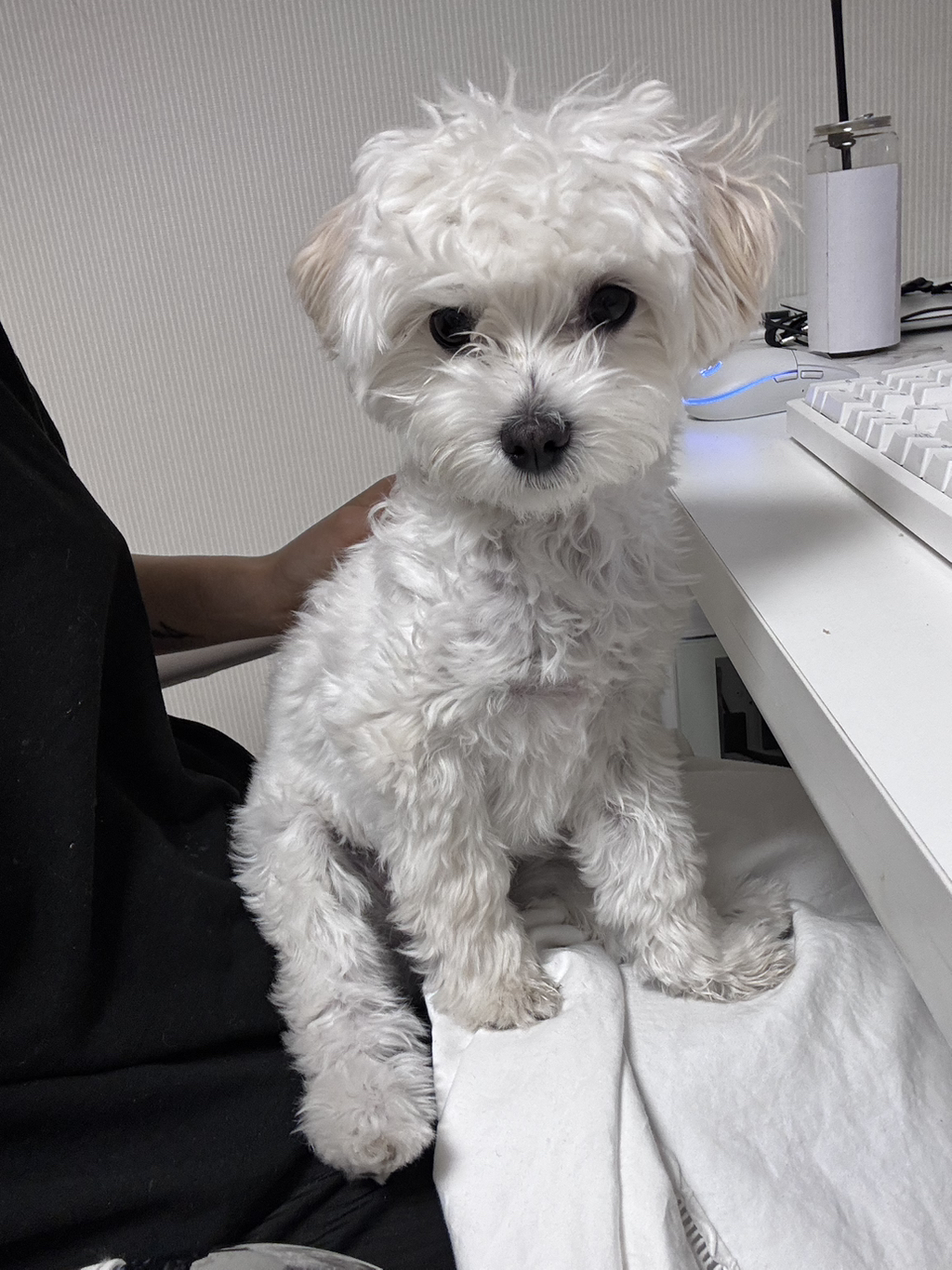 게시글 대표 이미지