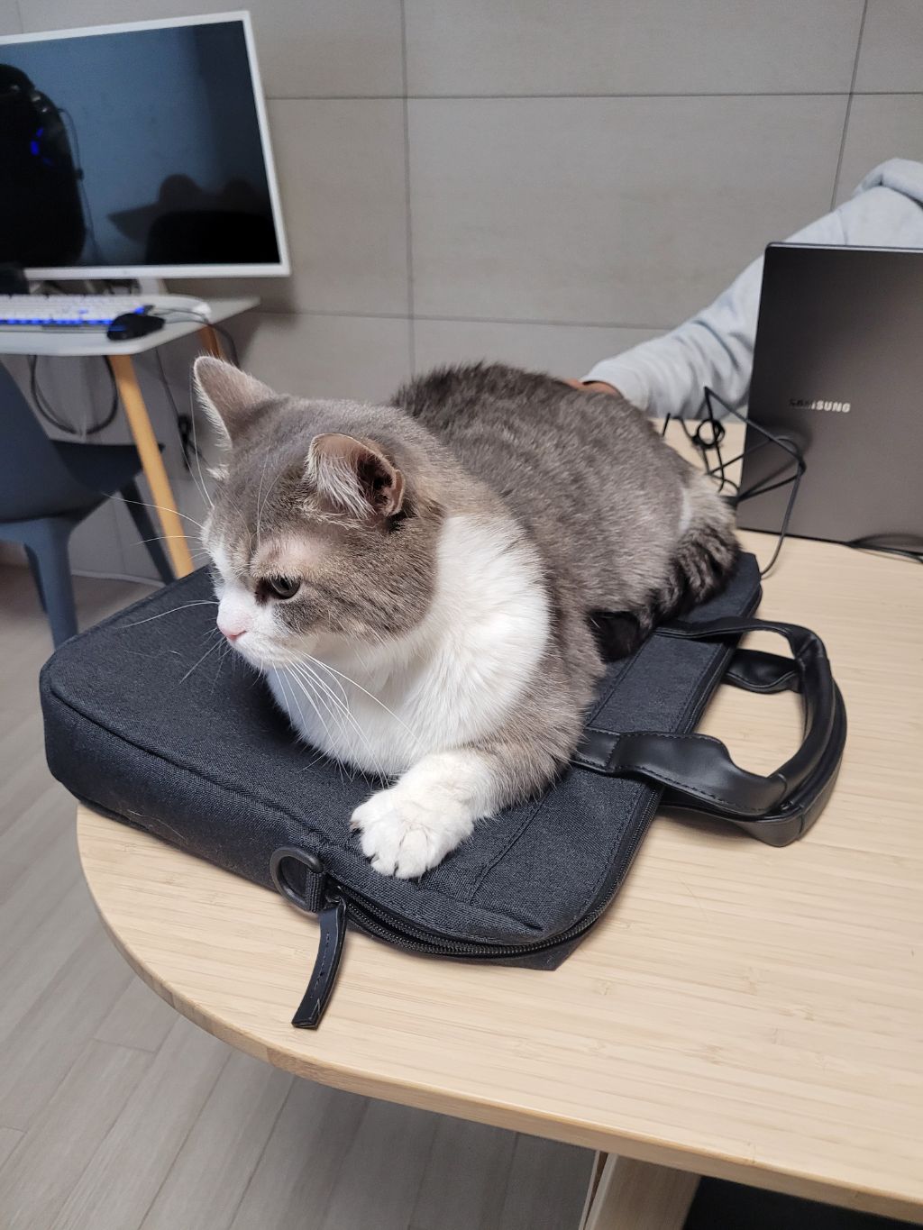 대표이미지