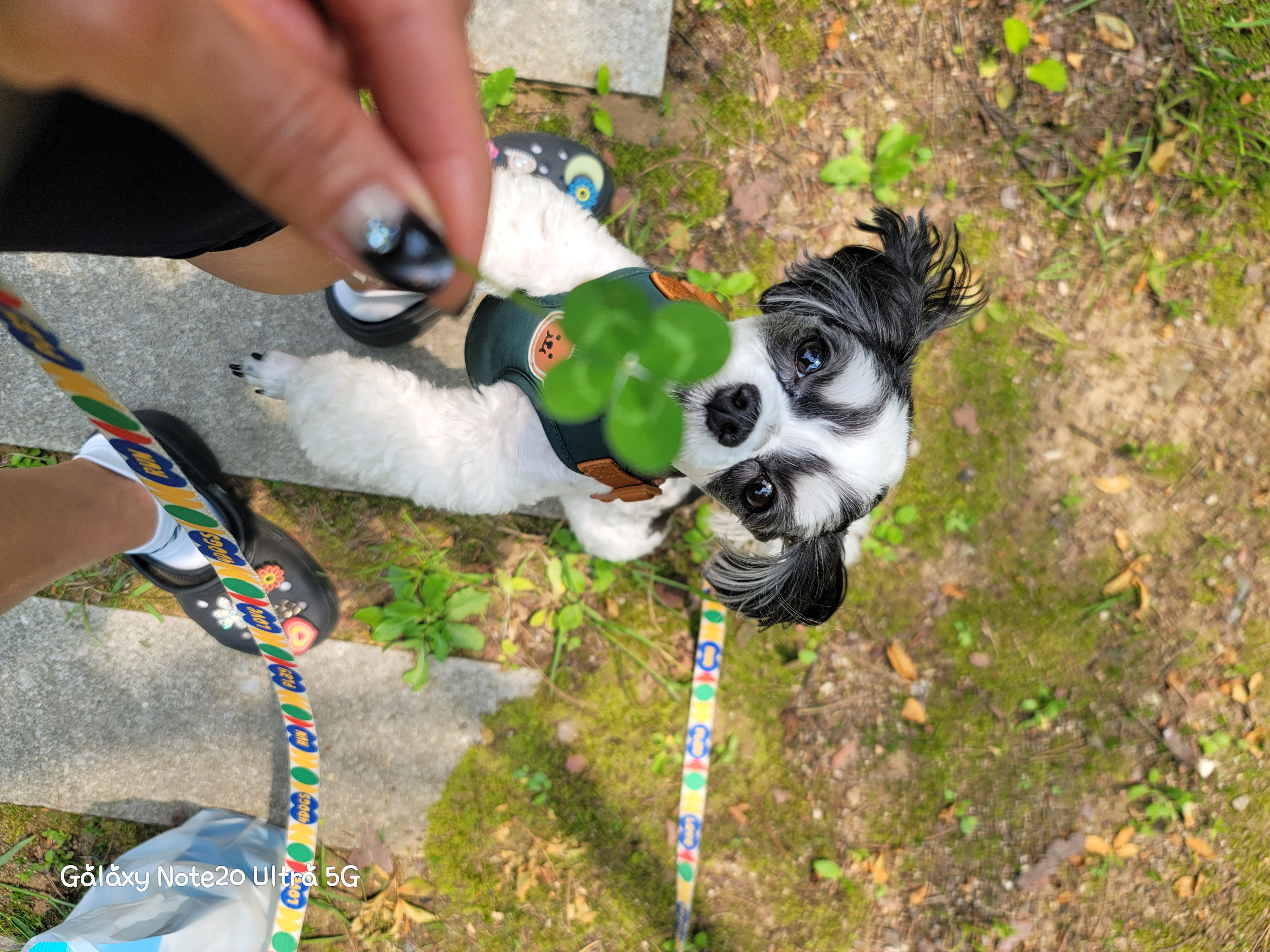 게시글 대표 이미지