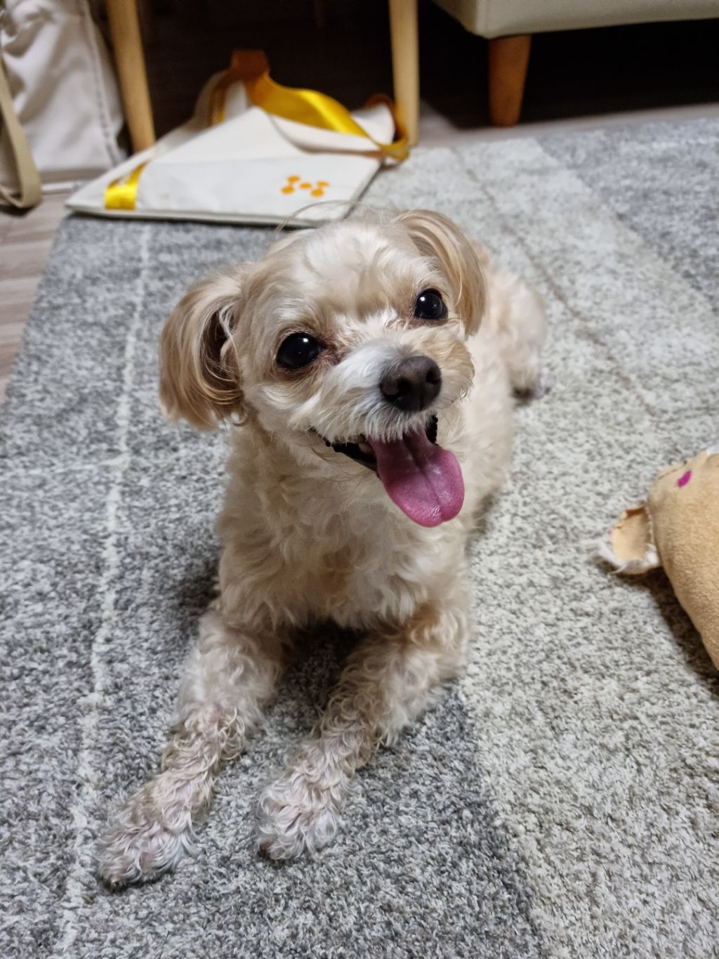 대표이미지