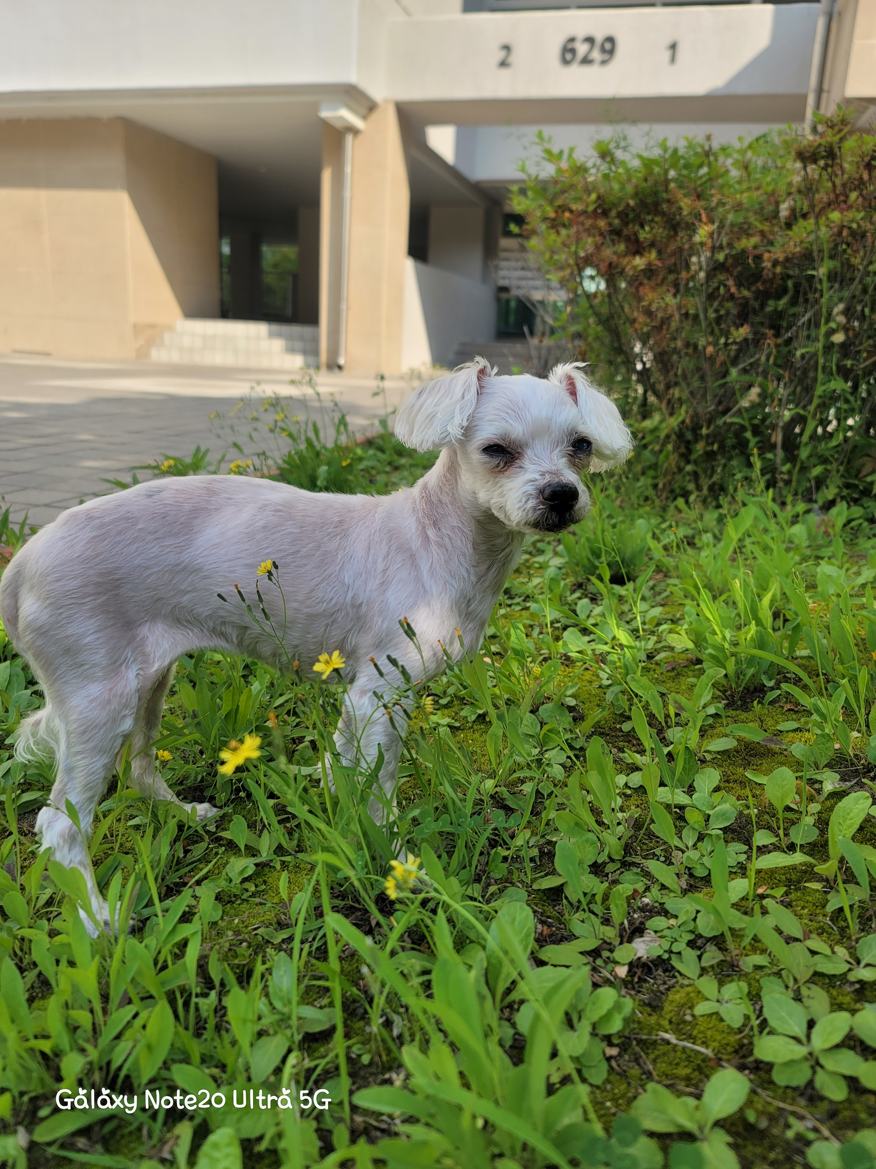 게시글 대표 이미지