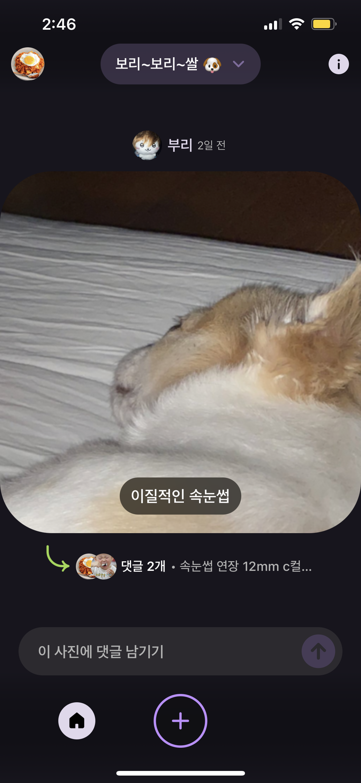 대표이미지