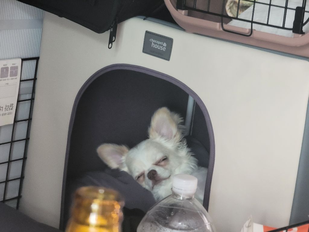 게시글 대표 이미지