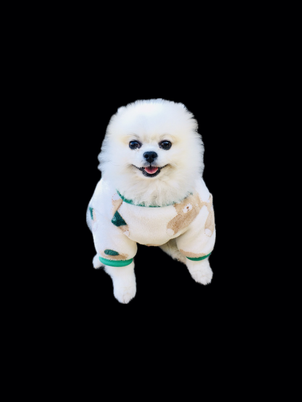 게시글 대표 이미지