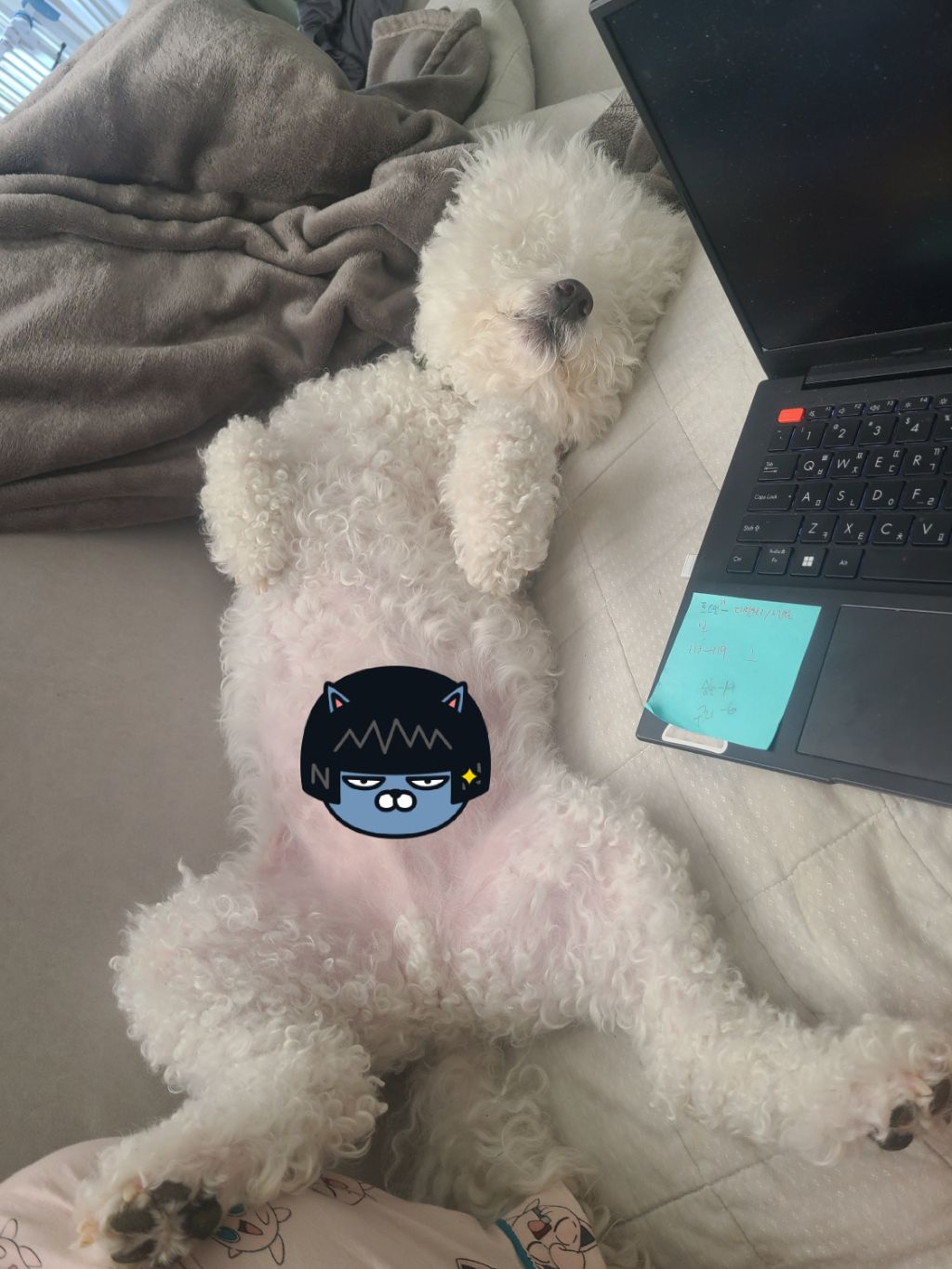 대표이미지