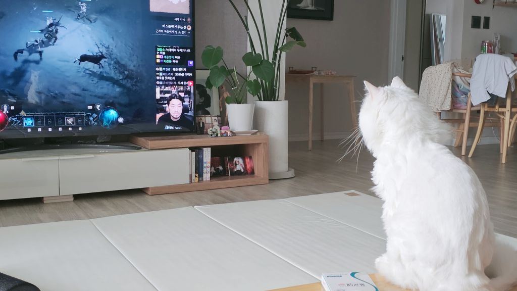 대표이미지