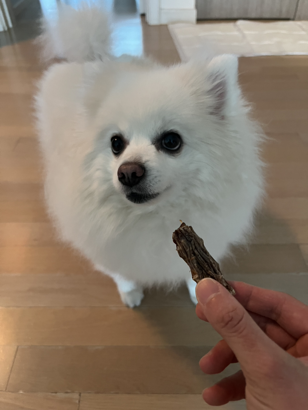 게시글 대표 이미지